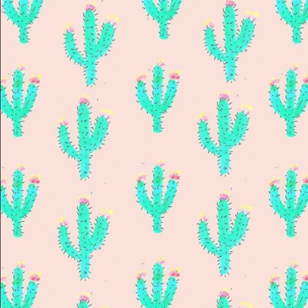 Please read🌵🌞